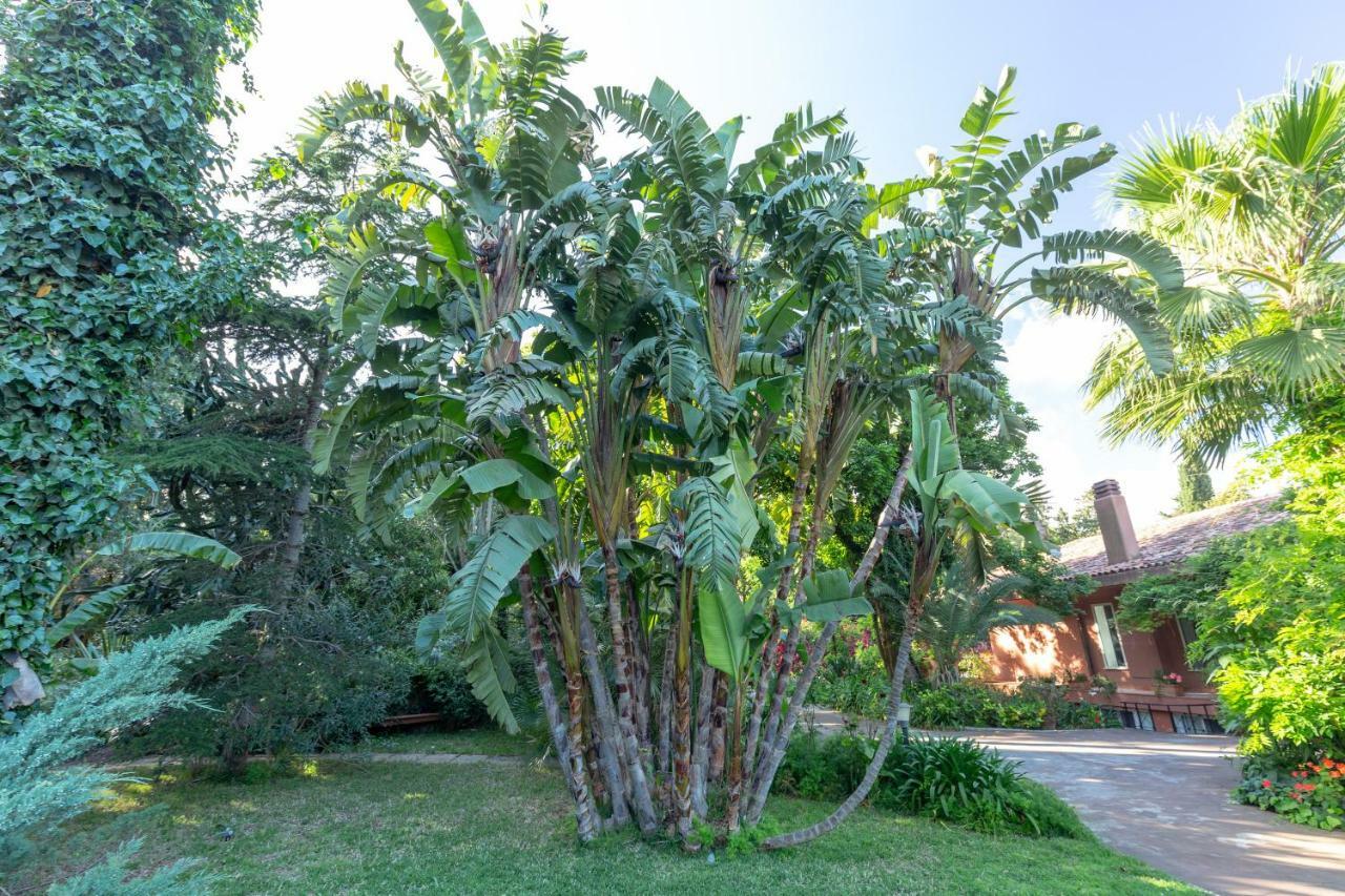 Il Giardino Di Michela By Domusicily Villa Mondello Luaran gambar